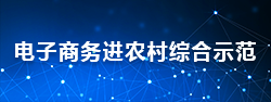 電子商務(wù)進(jìn)農(nóng)村綜合示范